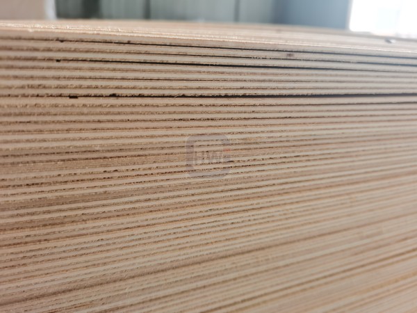 2030x1220mm (21) caravan ply