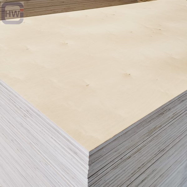 Birch Ply (1)