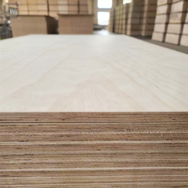 Furniture Grade Plywood-Eucalyptus (5)_