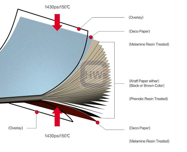 HPL Plywood 012