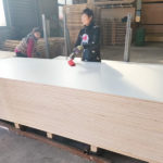 Anti-Slip Wire Mesh Film Faced Plywood