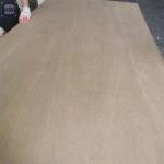 Anti-Slip Wire Mesh Film Faced Plywood