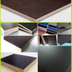 Anti-Slip Wire Mesh Film Faced Plywood