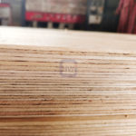 Anti-Slip Wire Mesh Film Faced Plywood