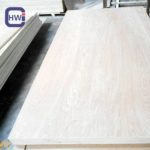 Anti-Slip Wire Mesh Film Faced Plywood