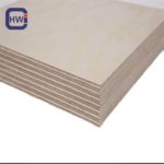 Anti-Slip Wire Mesh Film Faced Plywood