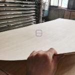 Anti-Slip Wire Mesh Film Faced Plywood