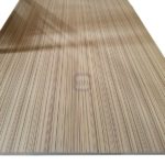 Anti-Slip Wire Mesh Film Faced Plywood