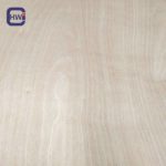 Anti-Slip Wire Mesh Film Faced Plywood