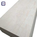 Anti-Slip Wire Mesh Film Faced Plywood