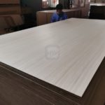 Anti-Slip Wire Mesh Film Faced Plywood