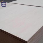 Anti-Slip Wire Mesh Film Faced Plywood