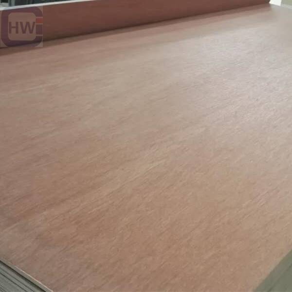 HW  Bintangor Faced Commercial Plywood