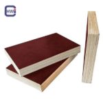 Anti-Slip Wire Mesh Film Faced Plywood