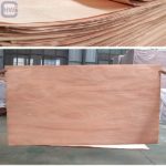 Anti-Slip Wire Mesh Film Faced Plywood